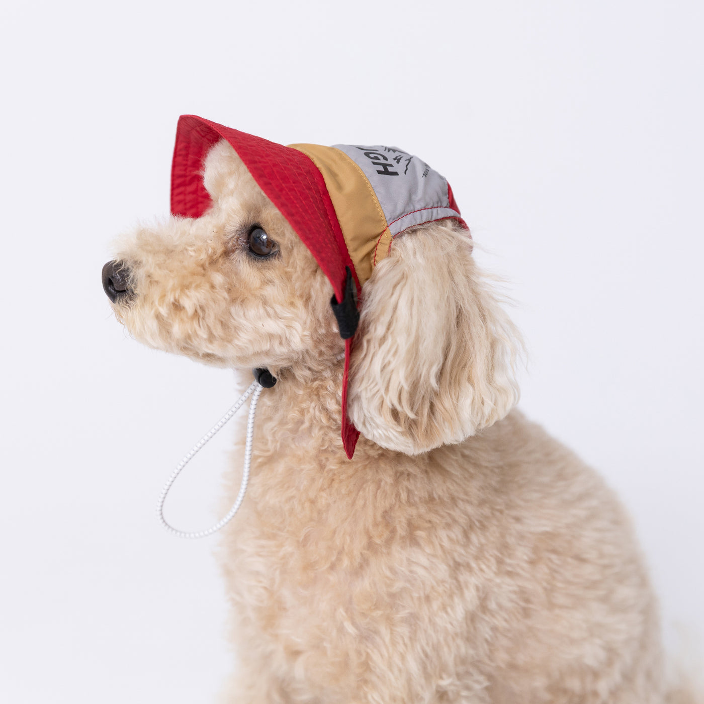 pipiサファリハットS ペット用品 犬服 ペットウェア ペット用品｜MOFF