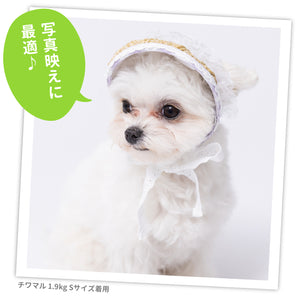 pipi レースフリル サンバイザー  ペット用品