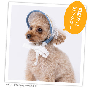 pipi レースフリル サンバイザー  ペット用品