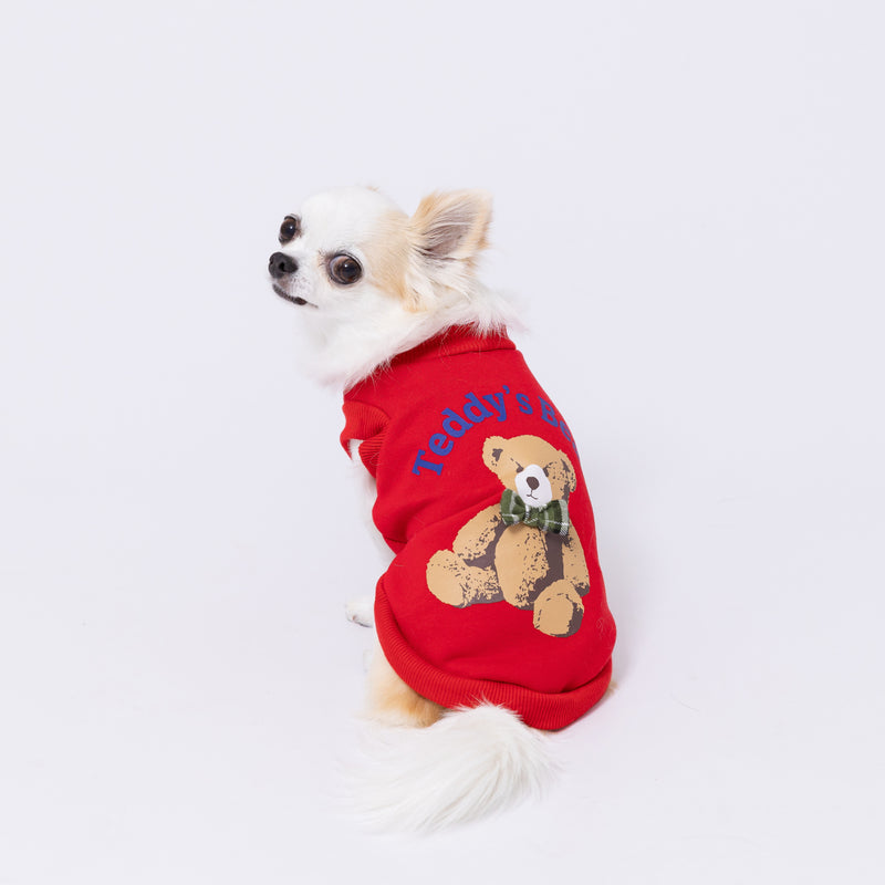 【先行予約 20％OFF】 pipiテディベアトレーナー ペット用品
