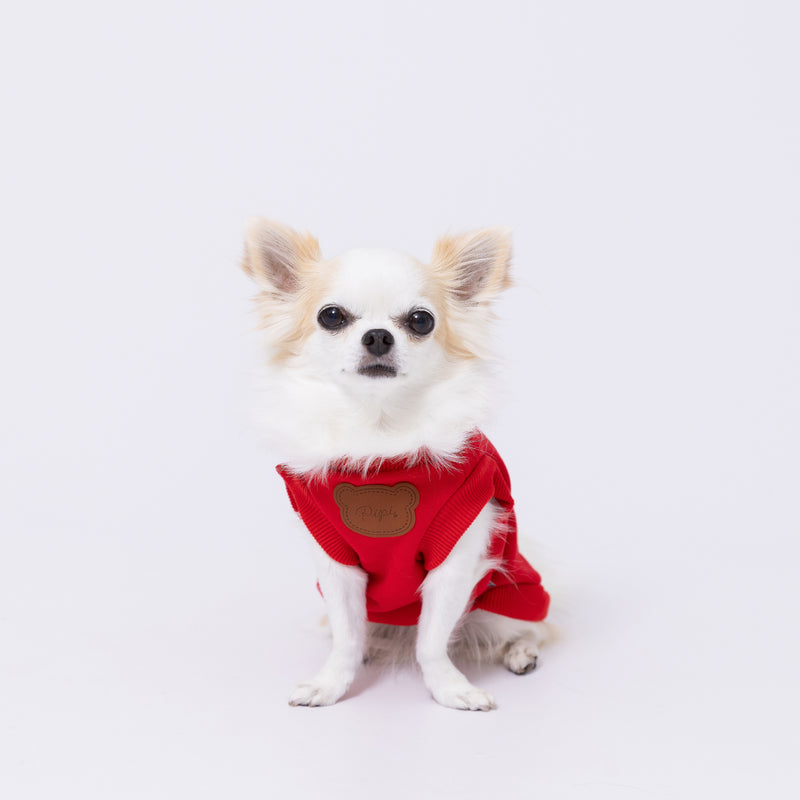 【先行予約 20％OFF】 pipiテディベアトレーナー ペット用品