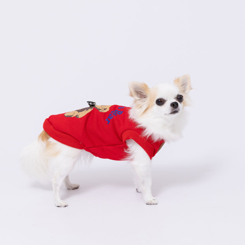 【先行予約 20％OFF】 pipiテディベアトレーナー ペット用品