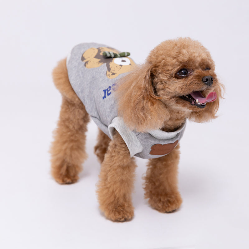 【先行予約 20％OFF】 pipiテディベアトレーナー ペット用品