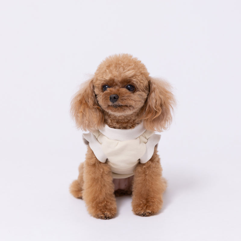 【先行予約 20％OFF】 pipiレイヤードトレーナー ペット用品