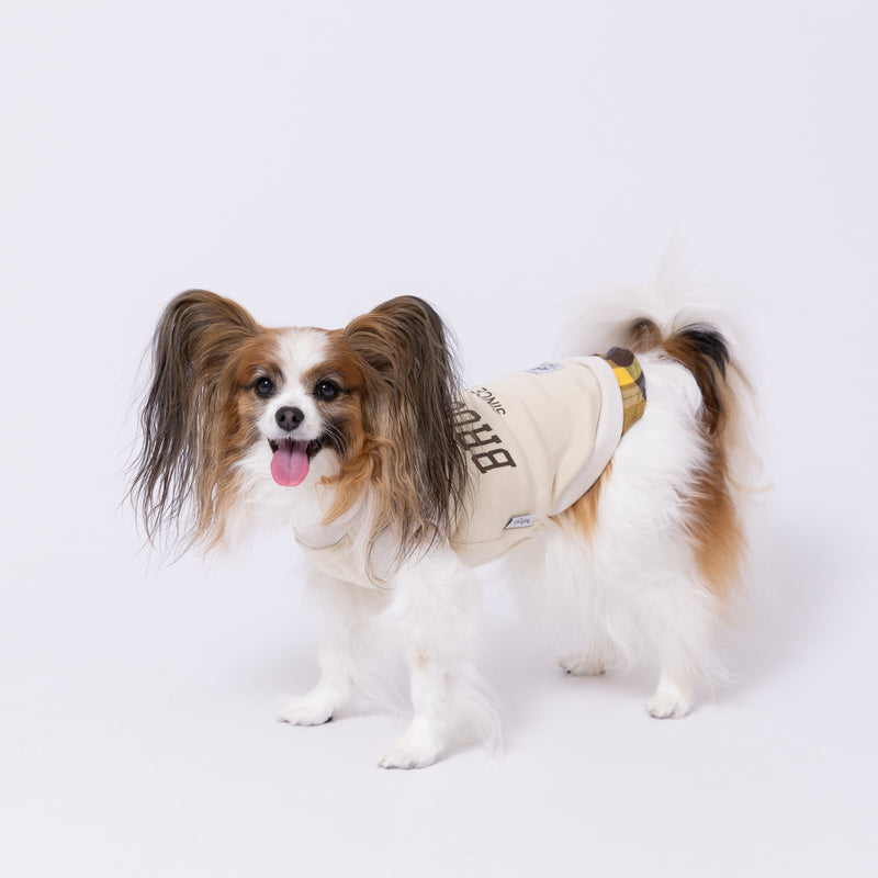 【先行予約 20％OFF】 pipiレイヤードトレーナー ペット用品