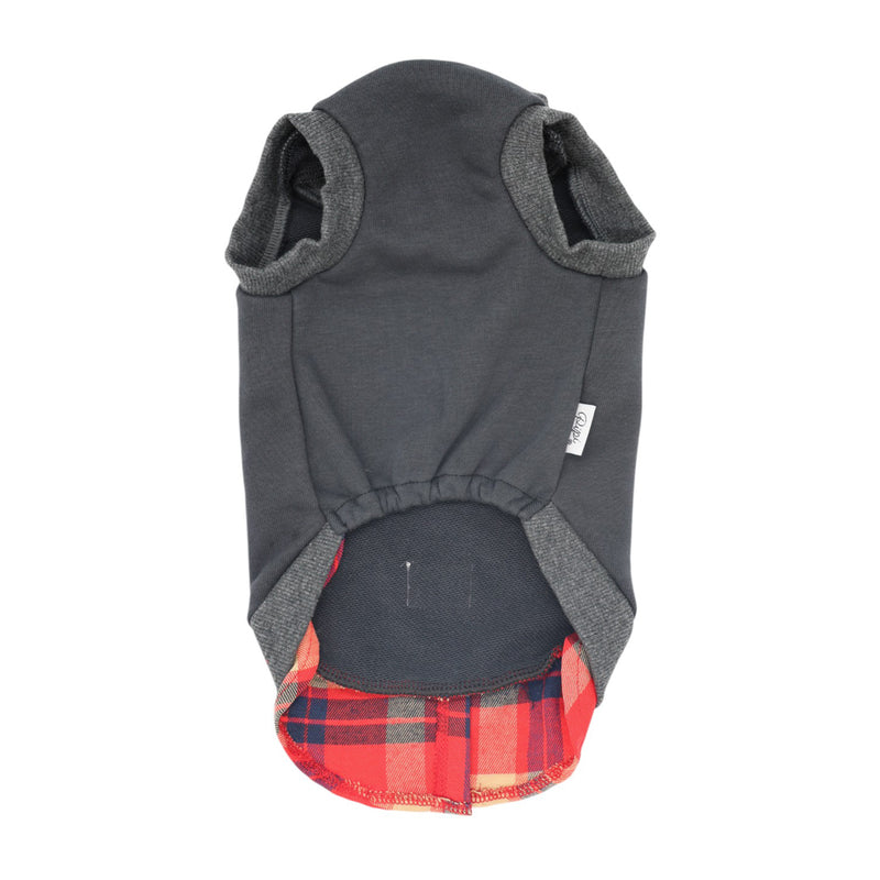 【先行予約 20％OFF】 pipiレイヤードトレーナー ペット用品