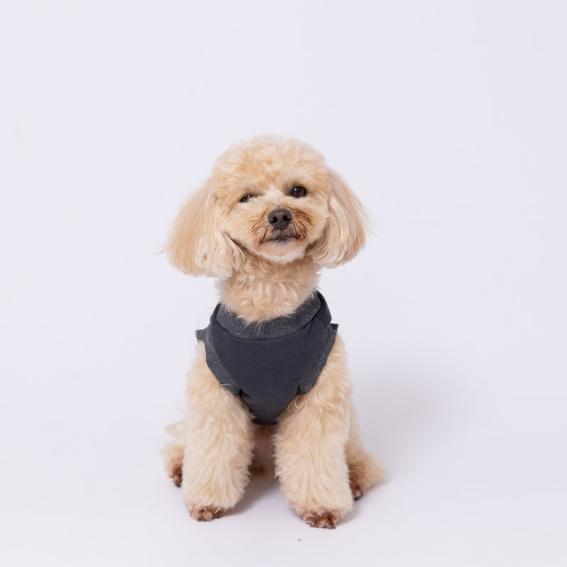 【先行予約 20％OFF】 pipiレイヤードトレーナー ペット用品