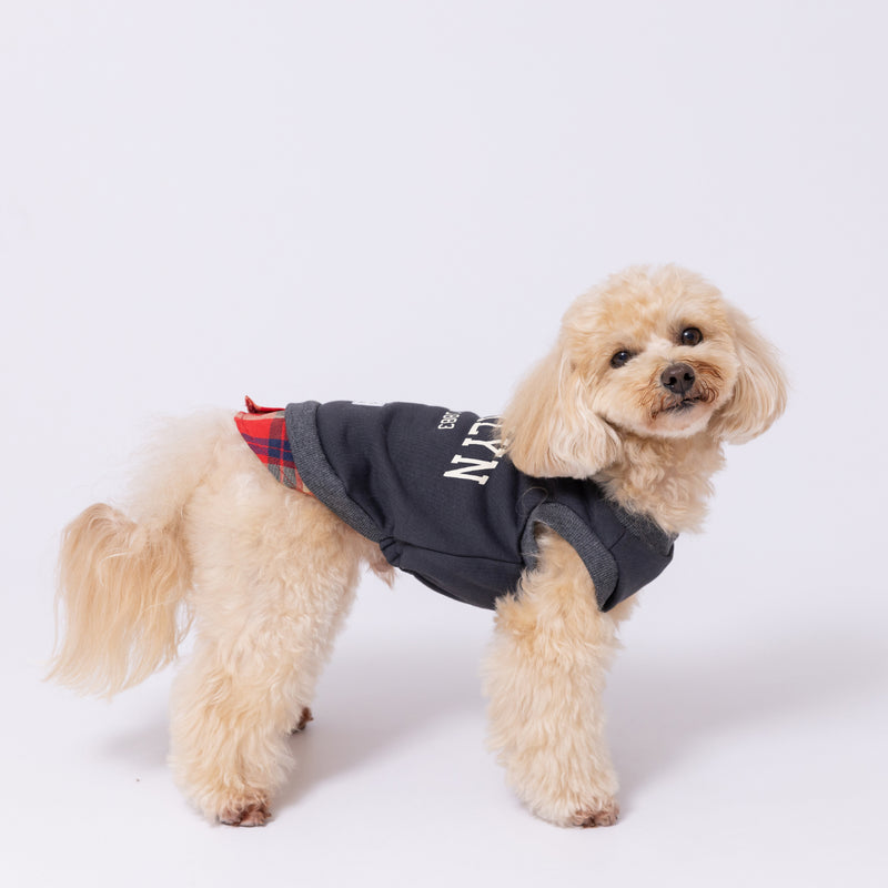 【先行予約 20％OFF】 pipiレイヤードトレーナー ペット用品