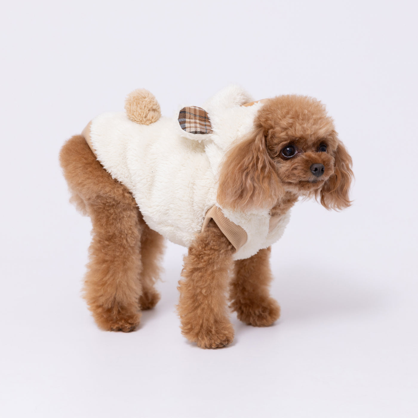 pipiくまボアパーカー ペット用品 犬服 ペットウェア ペット用品｜MOFF