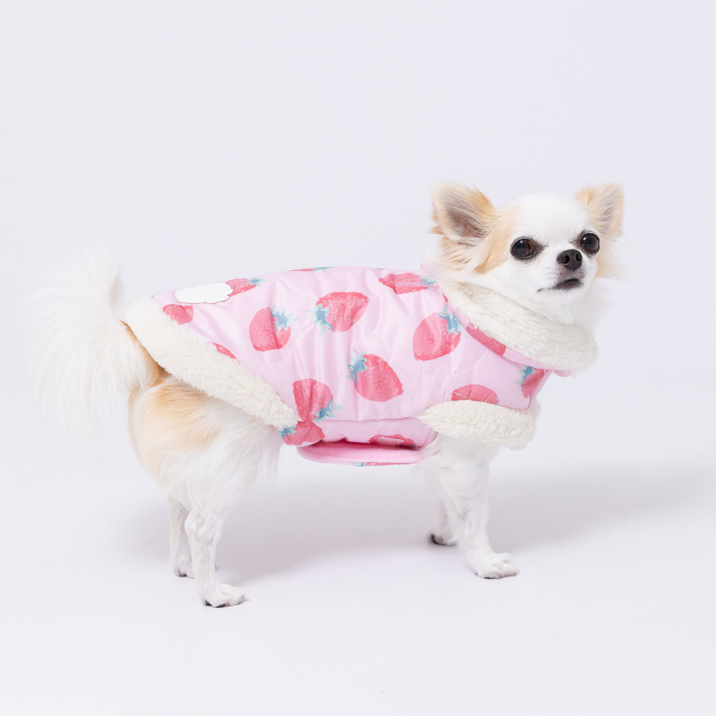 犬服 テディベア柄 ピンク \