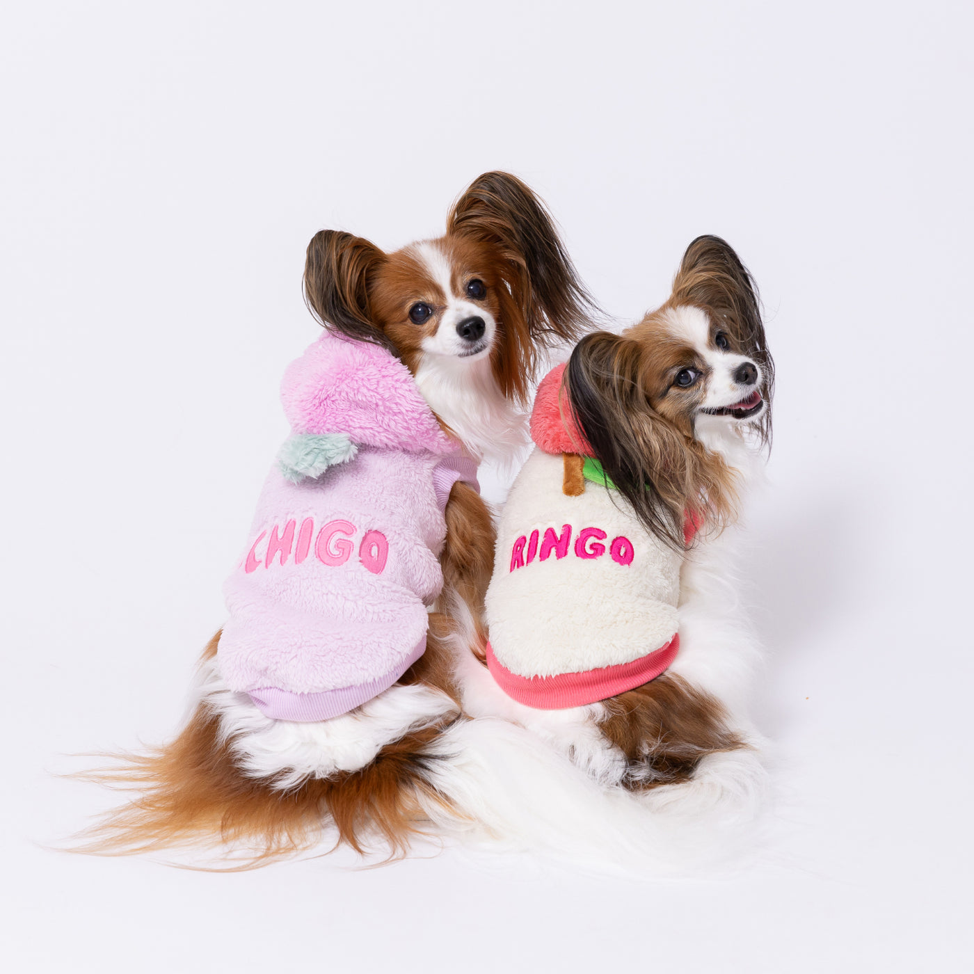 PP252-022-004b_10_1400x.jpg?v=