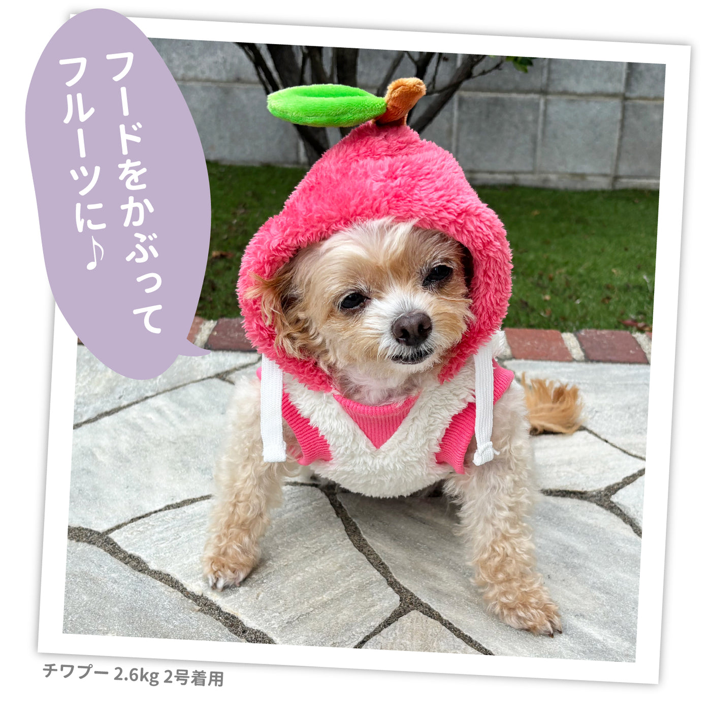 pipiりんごボアパーカー ペット用品 犬服 ペットウェア ペット用品