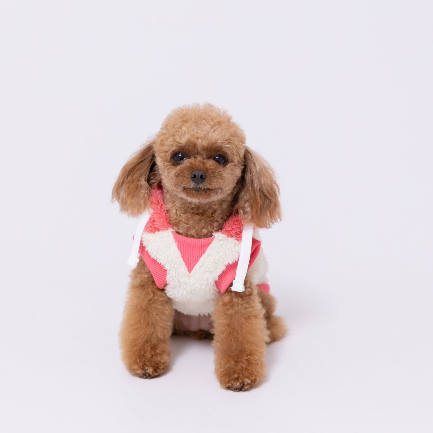 pipiりんごボアパーカー ペット用品 犬服 ペットウェア ペット用品