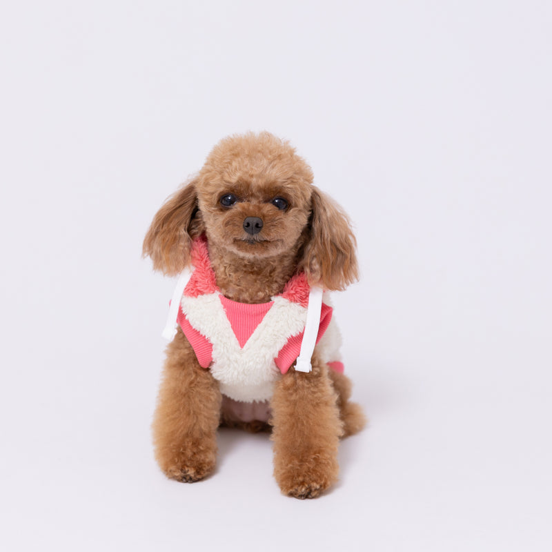 【先行予約 20％OFF】 pipiフルーツボアパーカー ペット用品