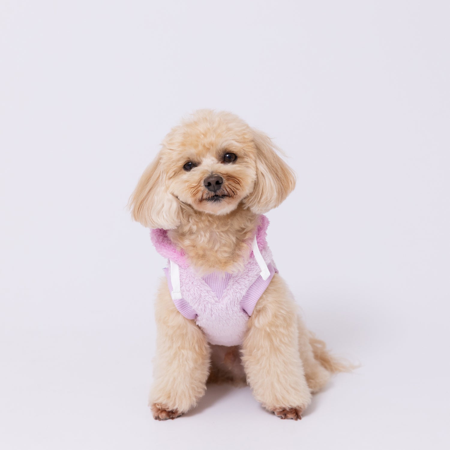 pipiりんごボアパーカー ペット用品 犬服 ペットウェア ペット用品