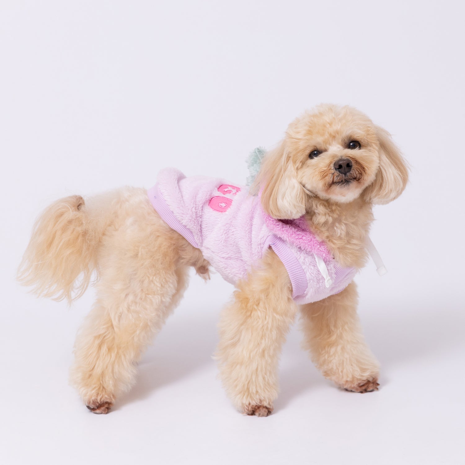 犬服ハンドメイド　リボンボアワンピパーカー　イニシャル入り pipiりんごボアパーカー ペット用品 犬服 ペットウェア ペット用品