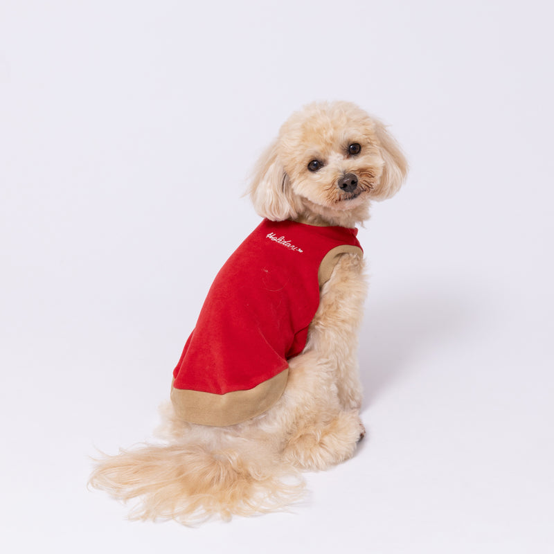 【先行予約 20％OFF】 pipiポカポカタンクトップ ペット用品