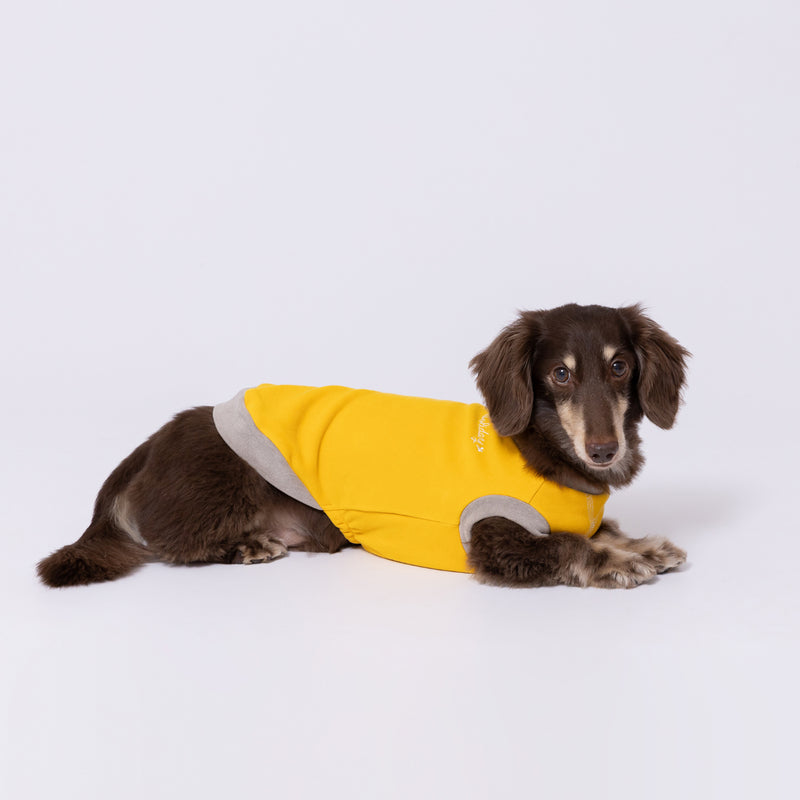 【先行予約 20％OFF】 pipiポカポカタンクトップ ペット用品