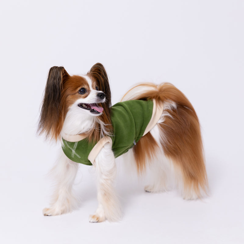 【先行予約 20％OFF】 pipiポカポカタンクトップ ペット用品