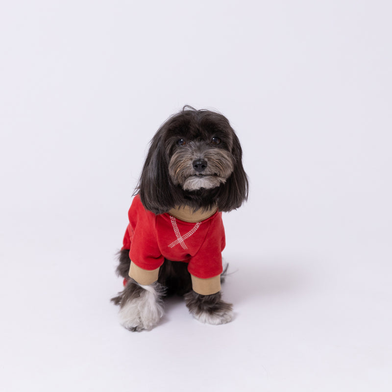 【先行予約 20％OFF】 pipiポカポカロンパース ペット用品