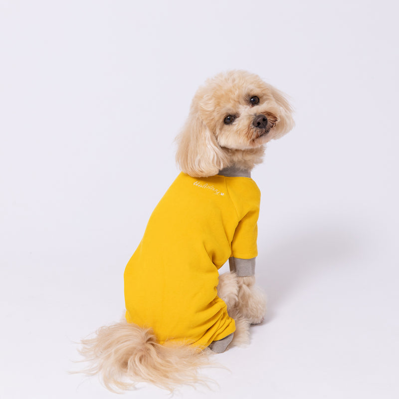 【先行予約 20％OFF】 pipiポカポカロンパース ペット用品