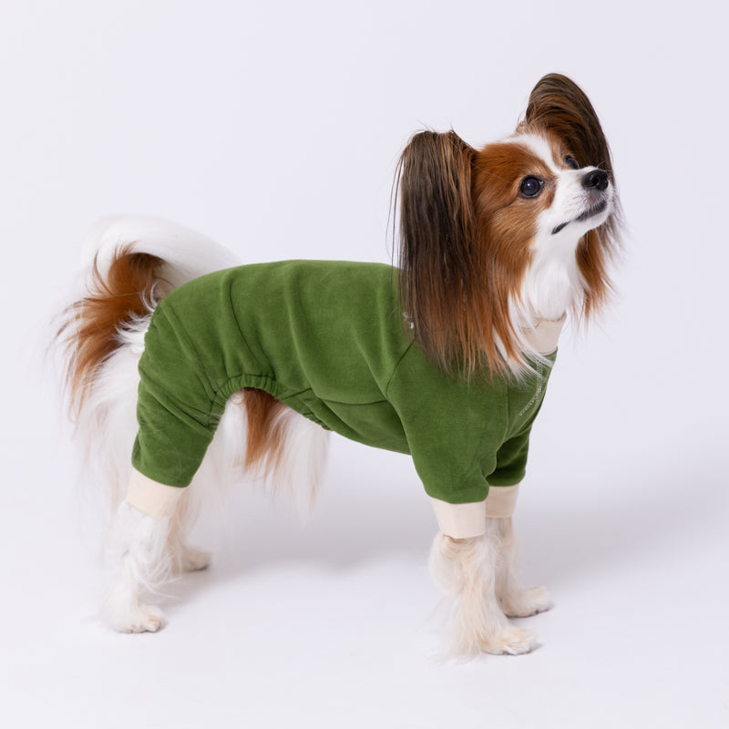 【先行予約 20％OFF】 pipiポカポカロンパース ペット用品