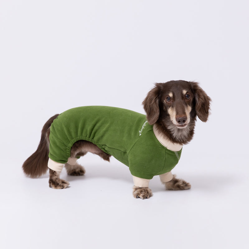 【先行予約 20％OFF】 pipiポカポカロンパース ペット用品