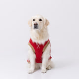 pipiポカポカタンクトップ 中大型犬 ペット用品