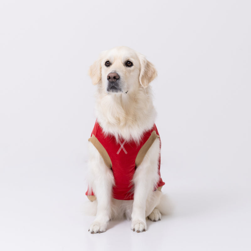 pipiポカポカタンクトップ 中大型犬 ペット用品