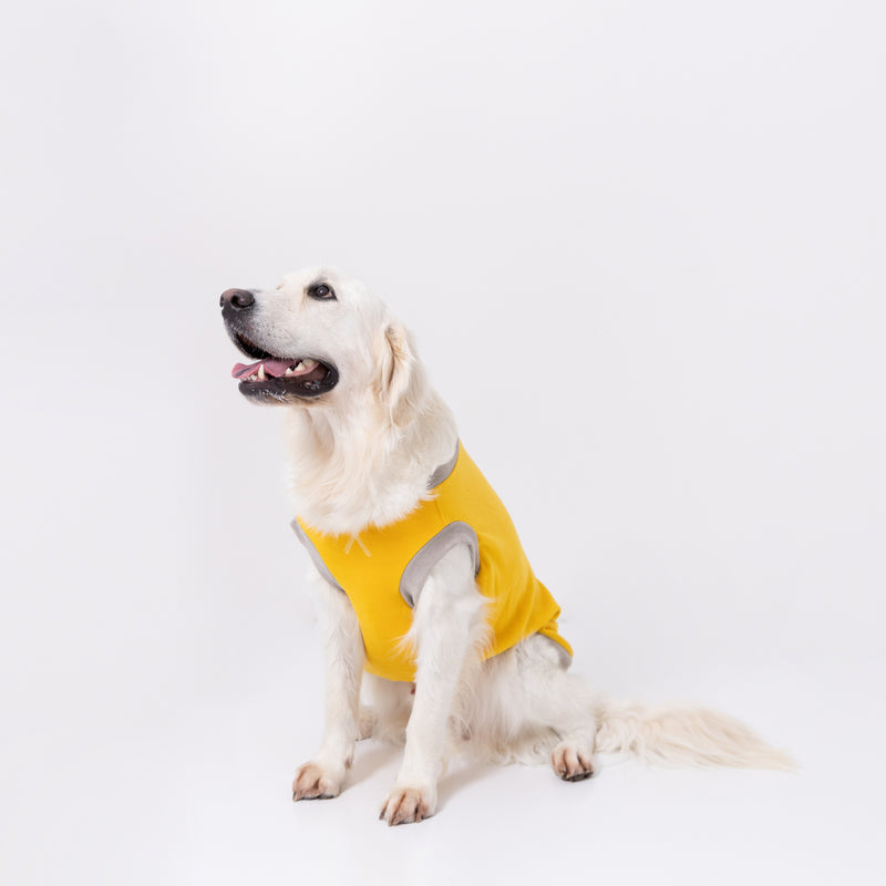 pipiポカポカタンクトップ 中大型犬 ペット用品