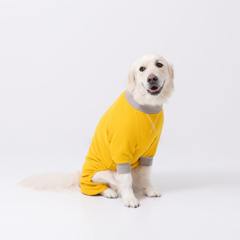 pipiポカポカロンパース 中大型犬 ペット用品