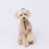 【先行予約 20％OFF】 pipiニット帽 ペット用品