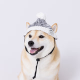 【先行予約 20％OFF】 pipiニット帽 ペット用品