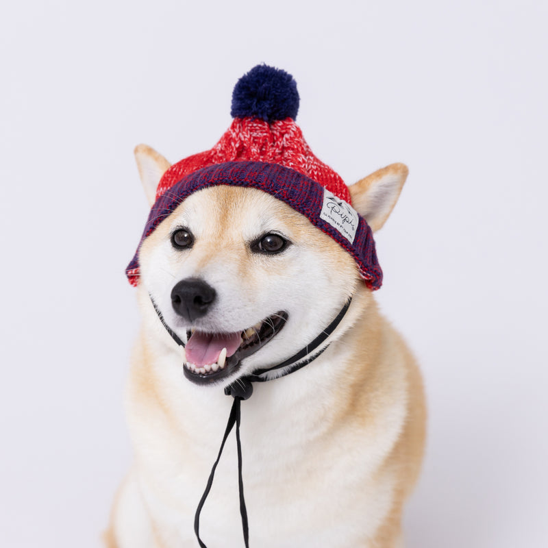 【先行予約 20％OFF】 pipiニット帽 ペット用品