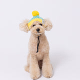 【先行予約 20％OFF】 pipiニット帽 ペット用品