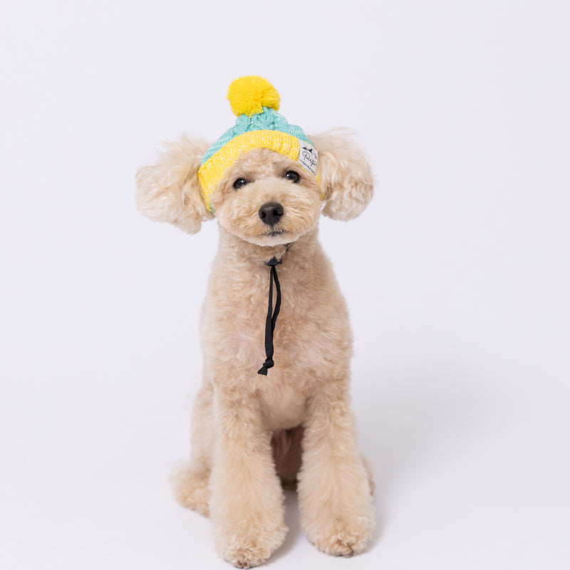 【先行予約 20％OFF】 pipiニット帽 ペット用品