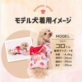 pipi 朝顔柄浴衣 ペット用品
