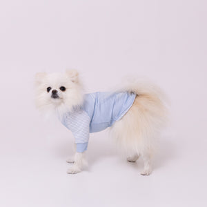 pipi 防虫Tシャツ ペット用品 26SS