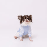 pipi 防虫Tシャツ ペット用品