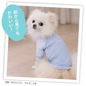 pipi 防虫Tシャツ ペット用品 26SS