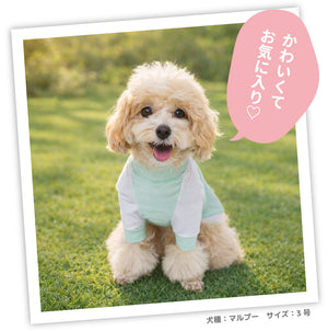 pipi 防虫Tシャツ ペット用品 26SS