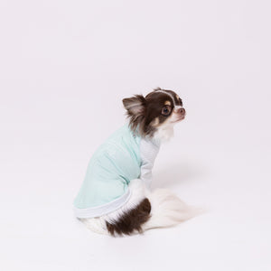 pipi 防虫Tシャツ ペット用品 26SS