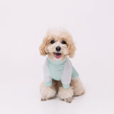 pipi 防虫Tシャツ ペット用品