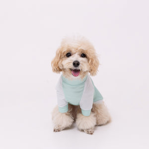 pipi 防虫Tシャツ ペット用品 26SS
