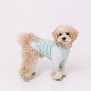 pipi 防虫Tシャツ ペット用品 26SS