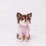 pipi 防虫Tシャツ ペット用品