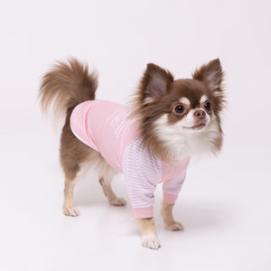 pipi 防虫Tシャツ ペット用品 26SS