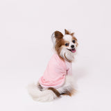 pipi 防虫Tシャツ ペット用品
