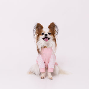 pipi 防虫Tシャツ ペット用品 26SS
