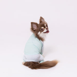pipi 防虫ロンパース ペット用品 26SS